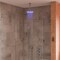 Alfi Brand Brushed Nickel Rnd 2 Way Thermostatic Shower Mixer AB3901-BN - alternate 2